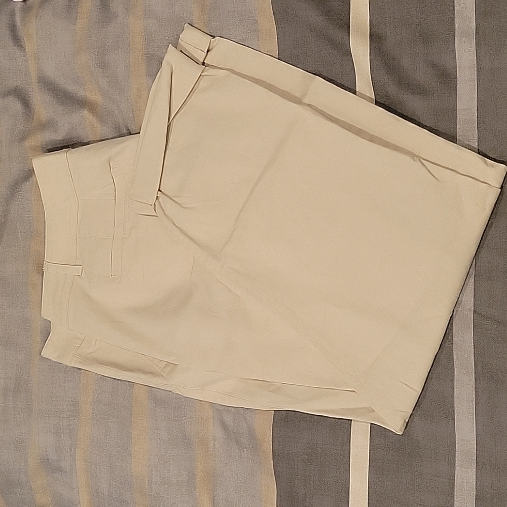 NWT Ann Taylor Factory Stone Cropped Pant